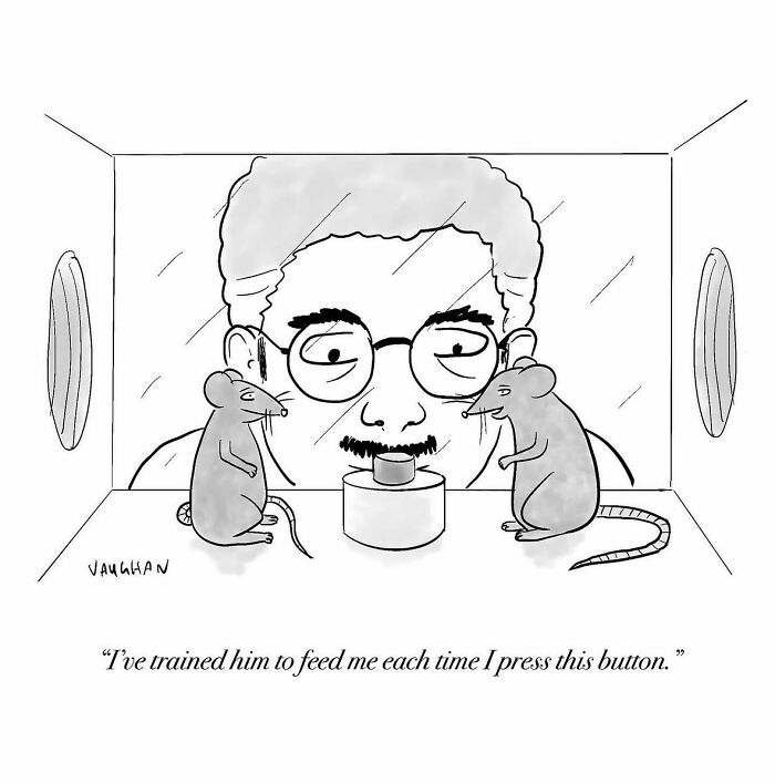 These One-Panel Cartoons By Vaughan Tomlinson Will Make You Laugh Instantly