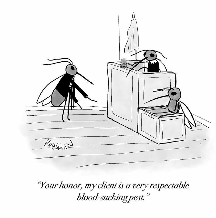 These One-Panel Cartoons By Vaughan Tomlinson Will Make You Laugh Instantly