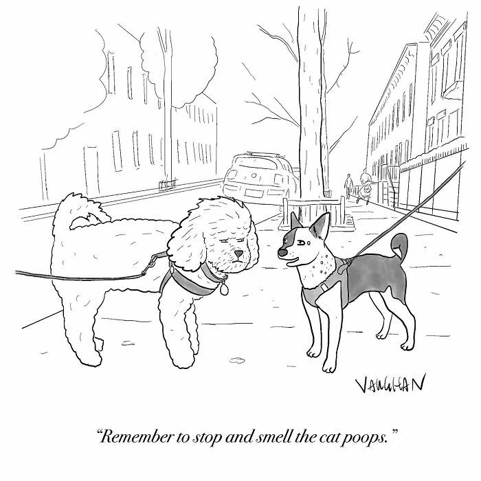 These One-Panel Cartoons By Vaughan Tomlinson Will Make You Laugh Instantly