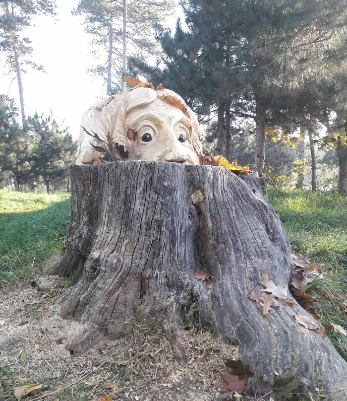 Wooden sculpture carved by a chainsaw artist from a forgotten tree stump in a forest setting with autumn leaves.