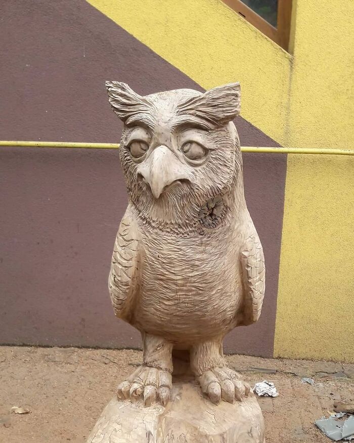 Wooden owl sculpture carved by chainsaw artist transforming forgotten trees into detailed art.