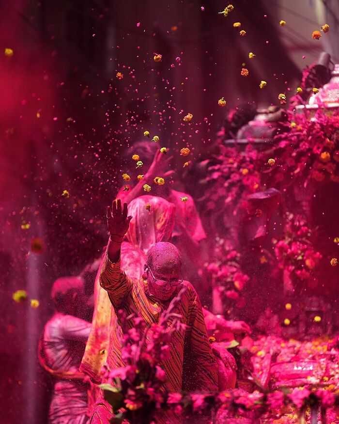 Man covered in bright pink powder and yellow flower petals during a vibrant Holi festival celebration in India bursting with color and life.