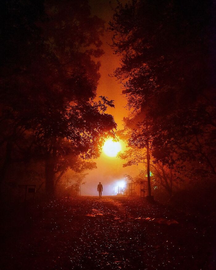 Silhouetted figure walking on a path through a forest with vivid orange light glowing, vivid photos of India bursting with color.