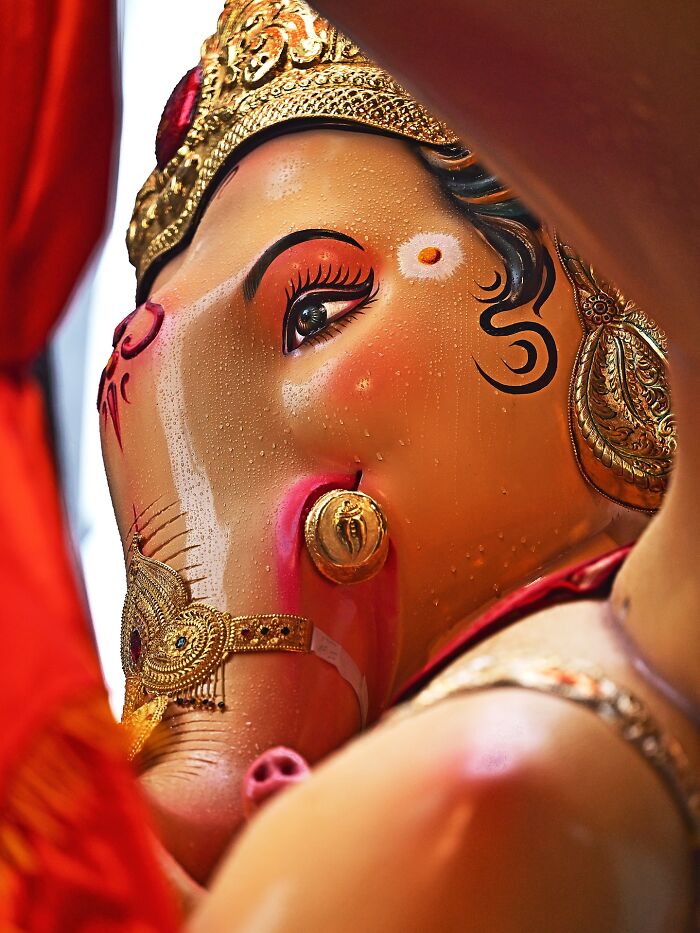 Close-up of a colorful and vivid statue of Lord Ganesha adorned with gold jewelry in India bursting with color and life.