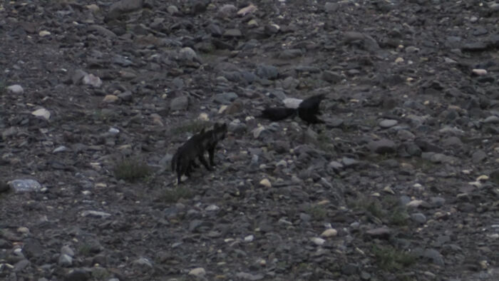 50 Delightfully Weird Facts About The World That People Learned This July