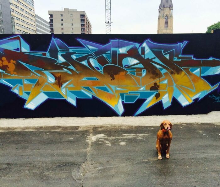 Graffiti mural blending realism and abstraction on a city wall with a brown dog sitting on pavement nearby.