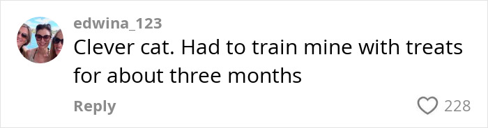 Social media comment praising clever cat trained with treats for months after handyman installs new cat flap. Social media comment praising clever cat trained with treats for months after handyman installs new cat flap.