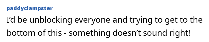 Comment from user paddyclampster expressing doubt about a woman suddenly turning flaky and missing her friend’s wedding. Comment from user paddyclampster expressing doubt about a woman suddenly turning flaky and missing her friend’s wedding.