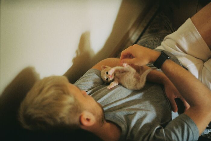 Man feeding a small kitten while lying down, showing gentle care and affection in a cozy setting. Man feeding a small kitten while lying down, showing gentle care and affection in a cozy setting.