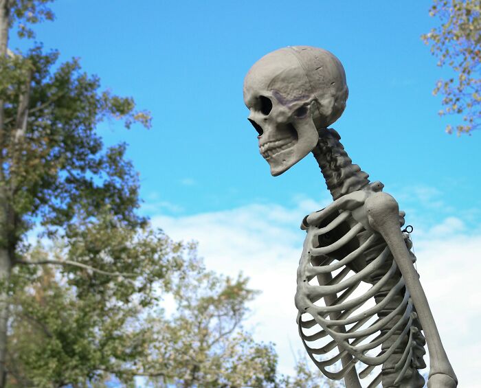 Skeleton standing outdoors against a blue sky, illustrating unexpected items on wedding registries including a coffin.