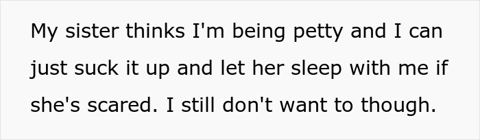 Text on a white background reads about a sister calling her sibling petty after a teen removes ladder from bunk bed to block niece. Text on a white background reads about a sister calling her sibling petty after a teen removes ladder from bunk bed to block niece.