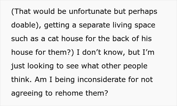 Fiancée Left Shocked After Guy Demands Her 4 Senior Cats Be Rehomed Before Wedding Fiancée Left Shocked After Guy Demands Her 4 Senior Cats Be Rehomed Before Wedding