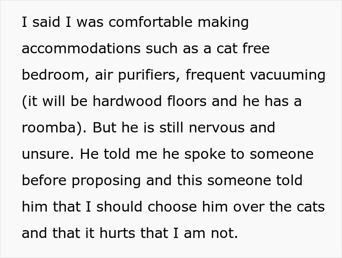 Fiancée Left Shocked After Guy Demands Her 4 Senior Cats Be Rehomed Before Wedding Fiancée Left Shocked After Guy Demands Her 4 Senior Cats Be Rehomed Before Wedding