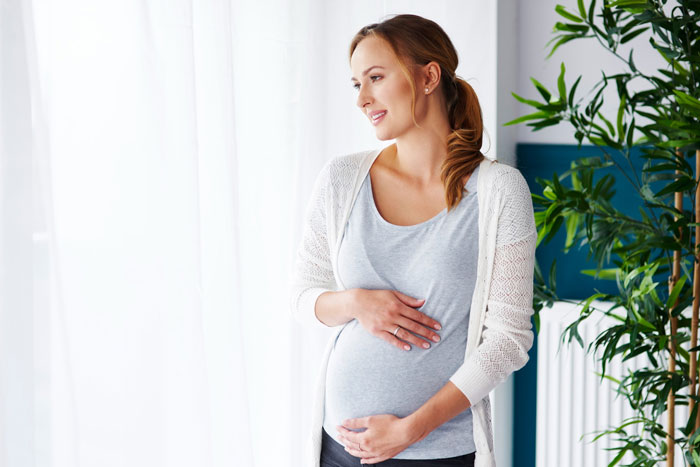 Pregnant woman in casual clothes gently holding belly indoors, representing parents obsessed with having kids. Pregnant woman in casual clothes gently holding belly indoors, representing parents obsessed with having kids.