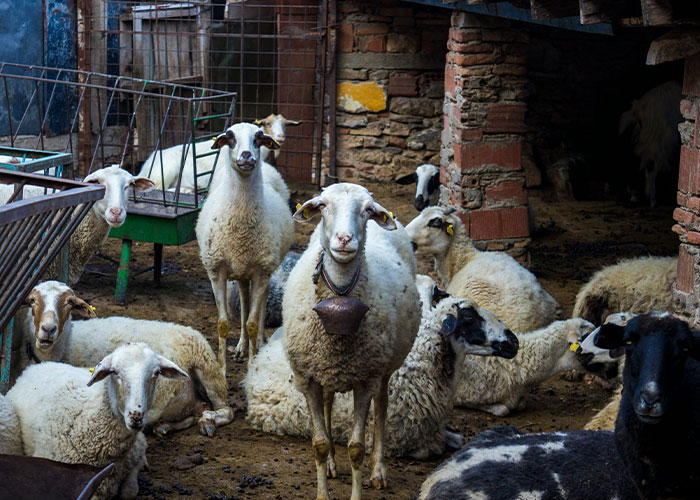 “We All Froze”: 37 Job Site Incidents That Still Give Workers Chills