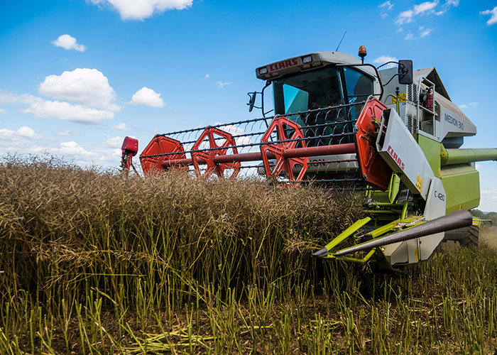 “We All Froze”: 37 Job Site Incidents That Still Give Workers Chills