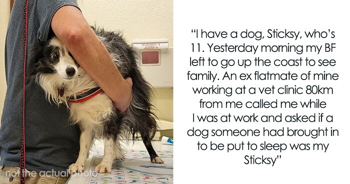 “He Was Shocked”: Psycho BF Lies About GF’s Dog, Doesn’t Realize She Knows Everything