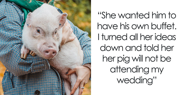 Mom Of The Bride Told She Can’t Bring Her Pet Pig To The Wedding, Does It Anyway And Ruins It