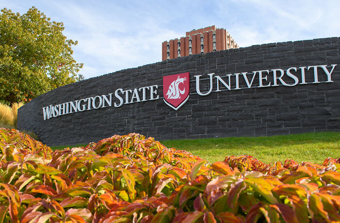 Washington State University campus with autumn foliage, related to chilling warning professor made about Bryan Kohberger behavior. Washington State University campus with autumn foliage, related to chilling warning professor made about Bryan Kohberger behavior.