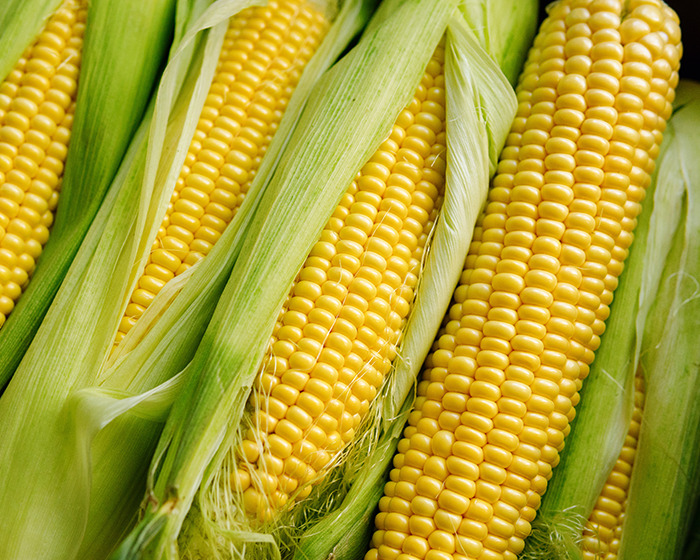 Experts Break Down Why Coke’s Cane Sugar Swap Won’t Make Consumers Healthier Experts Break Down Why Coke’s Cane Sugar Swap Won’t Make Consumers Healthier