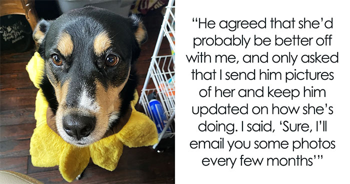 Fiancé Breaks Off Relationship For Younger Partner, Wants Dog Updates, Gets Humiliating Pictures