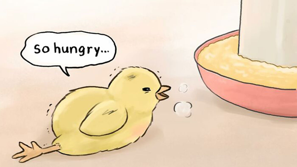 Illustration from artist-created comics showing a sad hungry chick highlighting the sad reality of many animals on Earth.