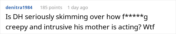 Screenshot of a Reddit comment discussing the mom disabling MIL’s baby cam access due to intrusive spying concerns. Screenshot of a Reddit comment discussing the mom disabling MIL’s baby cam access due to intrusive spying concerns.