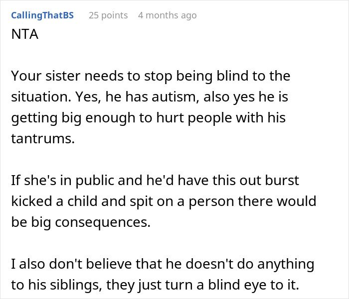 Text post discussing a woman refusing to babysit her autistic nephew after he injures her daughter and spits on her. Text post discussing a woman refusing to babysit her autistic nephew after he injures her daughter and spits on her.