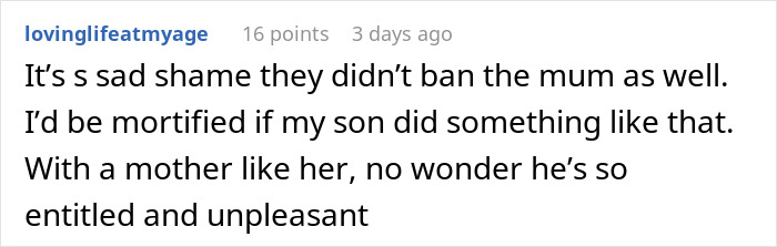 Screenshot of a Reddit comment discussing a mother accusing a lady of manhandling her son over a phone incident. Screenshot of a Reddit comment discussing a mother accusing a lady of manhandling her son over a phone incident.
