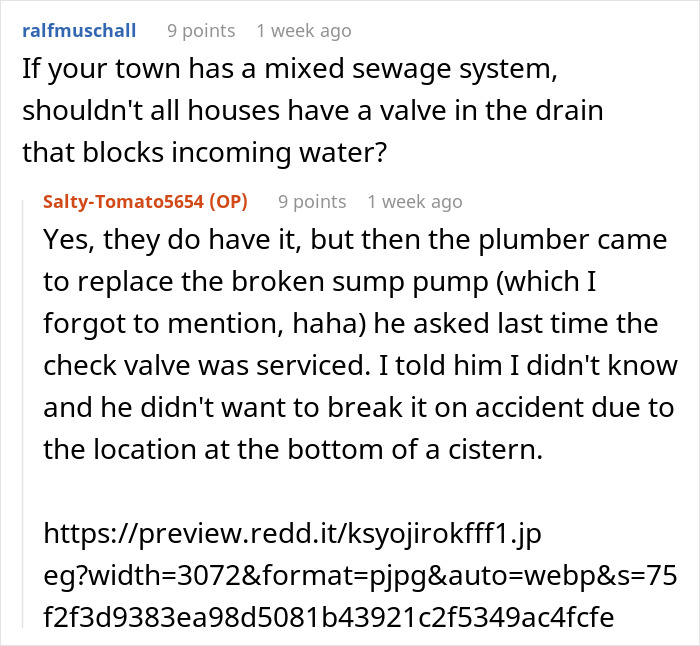 Reddit user discussing sewage system valve and sump pump repair related to mixed sewage disaster at home. Reddit user discussing sewage system valve and sump pump repair related to mixed sewage disaster at home.