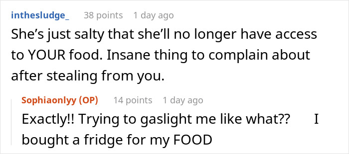Reddit conversation about leftover pasta theft leading a woman to buy a mini fridge, friend calls her too dramatic.