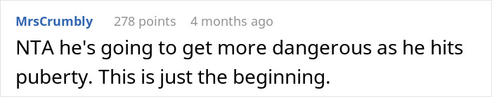 Screenshot of an online comment discussing concerns about a woman refusing to babysit her autistic nephew after he injures her daughter. Screenshot of an online comment discussing concerns about a woman refusing to babysit her autistic nephew after he injures her daughter.