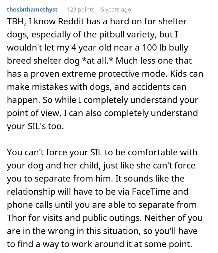 Text discussing concerns about a protective dog labeled too dangerous to be around kids after attacking a home intruder. Text discussing concerns about a protective dog labeled too dangerous to be around kids after attacking a home intruder.
