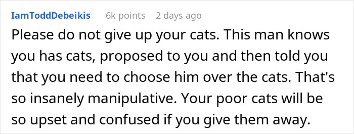Fiancée Left Shocked After Guy Demands Her 4 Senior Cats Be Rehomed Before Wedding Fiancée Left Shocked After Guy Demands Her 4 Senior Cats Be Rehomed Before Wedding