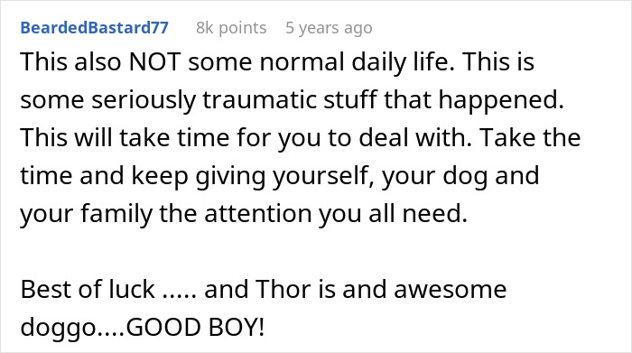 Comment praising a dog named Thor for protecting a family from a stalker, emphasizing trauma and recovery after the attack. Comment praising a dog named Thor for protecting a family from a stalker, emphasizing trauma and recovery after the attack.
