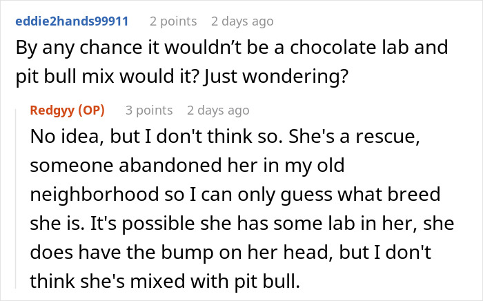Screenshot of a Reddit conversation discussing whether a rescue dog might be a chocolate lab and pit bull mix. Screenshot of a Reddit conversation discussing whether a rescue dog might be a chocolate lab and pit bull mix.