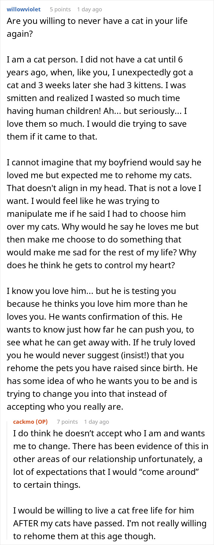 Fiancée Left Shocked After Guy Demands Her 4 Senior Cats Be Rehomed Before Wedding Fiancée Left Shocked After Guy Demands Her 4 Senior Cats Be Rehomed Before Wedding
