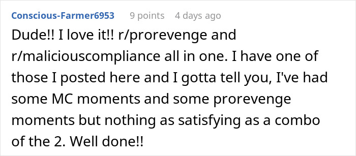 Reddit comment praising a post about fighting fire with fire in dealing with petty HOA using prorevenge and malicious compliance.