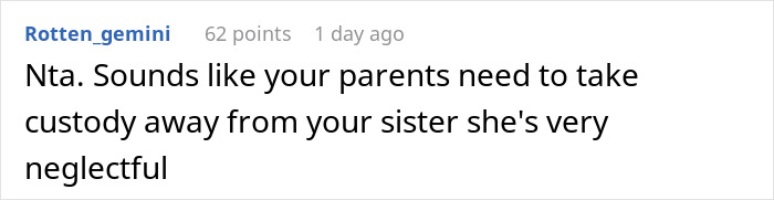 Screenshot of an online forum comment discussing custody concerns due to a sister's neglectful parenting. Screenshot of an online forum comment discussing custody concerns due to a sister's neglectful parenting.
