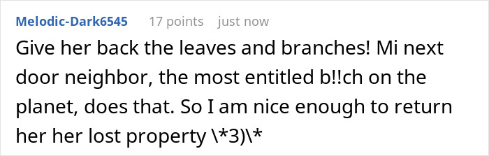Comment about entitled neighbor and homeowner returning her lost property, highlighting fence dispute and neighbor conflict.