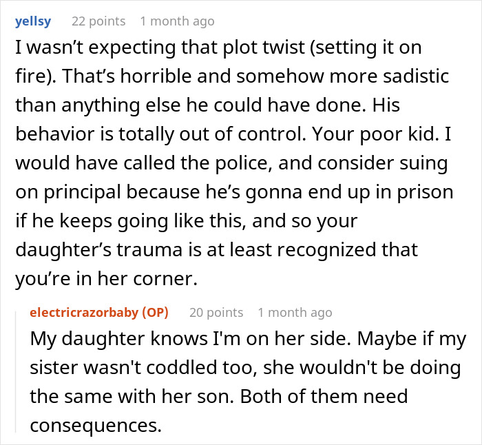 Comments discussing a grieving son’s out-of-control behavior and family conflict after burning a kid's bag. Comments discussing a grieving son’s out-of-control behavior and family conflict after burning a kid's bag.