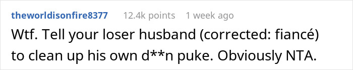 Screenshot of an online comment discussing a mother caring for her 10-month-old refusing fiancé’s orders to clean his vomit. Screenshot of an online comment discussing a mother caring for her 10-month-old refusing fiancé’s orders to clean his vomit.