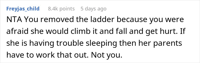 Comment discussing teen removing bunk bed ladder to block clingy niece, with sister calling the action petty as school gets involved.