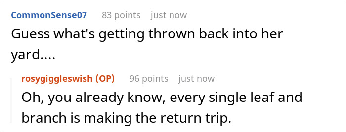 Comment thread showing a homeowner laughing in entitled neighbor’s face after she asks them to move their fence for her view.