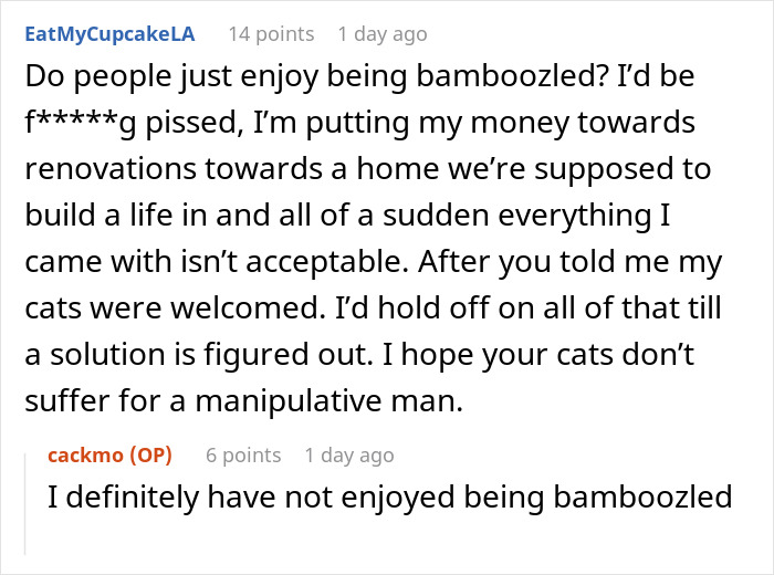 Fiancée Left Shocked After Guy Demands Her 4 Senior Cats Be Rehomed Before Wedding Fiancée Left Shocked After Guy Demands Her 4 Senior Cats Be Rehomed Before Wedding