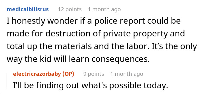 Reddit conversation about consequences for a grieving son after his sister burns her kid's bag. Reddit conversation about consequences for a grieving son after his sister burns her kid's bag.
