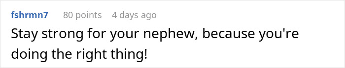 Comment expressing support for aunt concerned about nephew’s safety and decision to call CPS on controlling brother. Comment expressing support for aunt concerned about nephew’s safety and decision to call CPS on controlling brother.