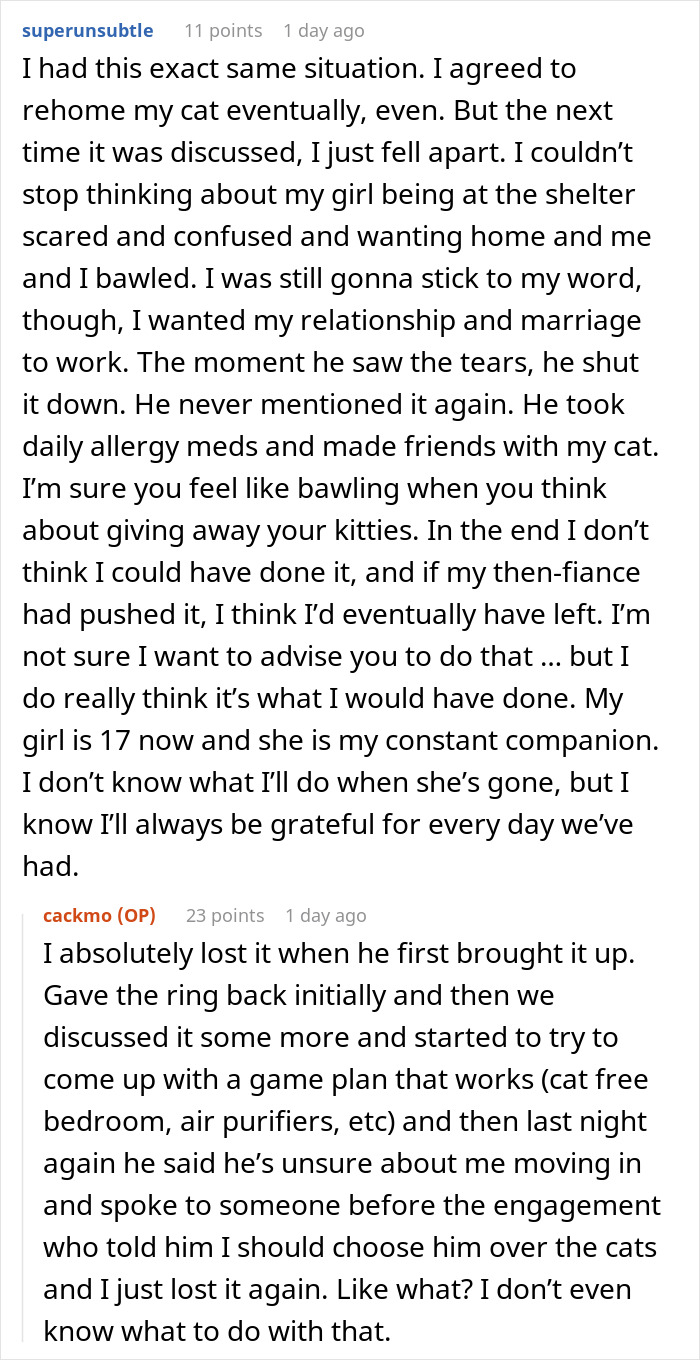 Fiancée Left Shocked After Guy Demands Her 4 Senior Cats Be Rehomed Before Wedding Fiancée Left Shocked After Guy Demands Her 4 Senior Cats Be Rehomed Before Wedding