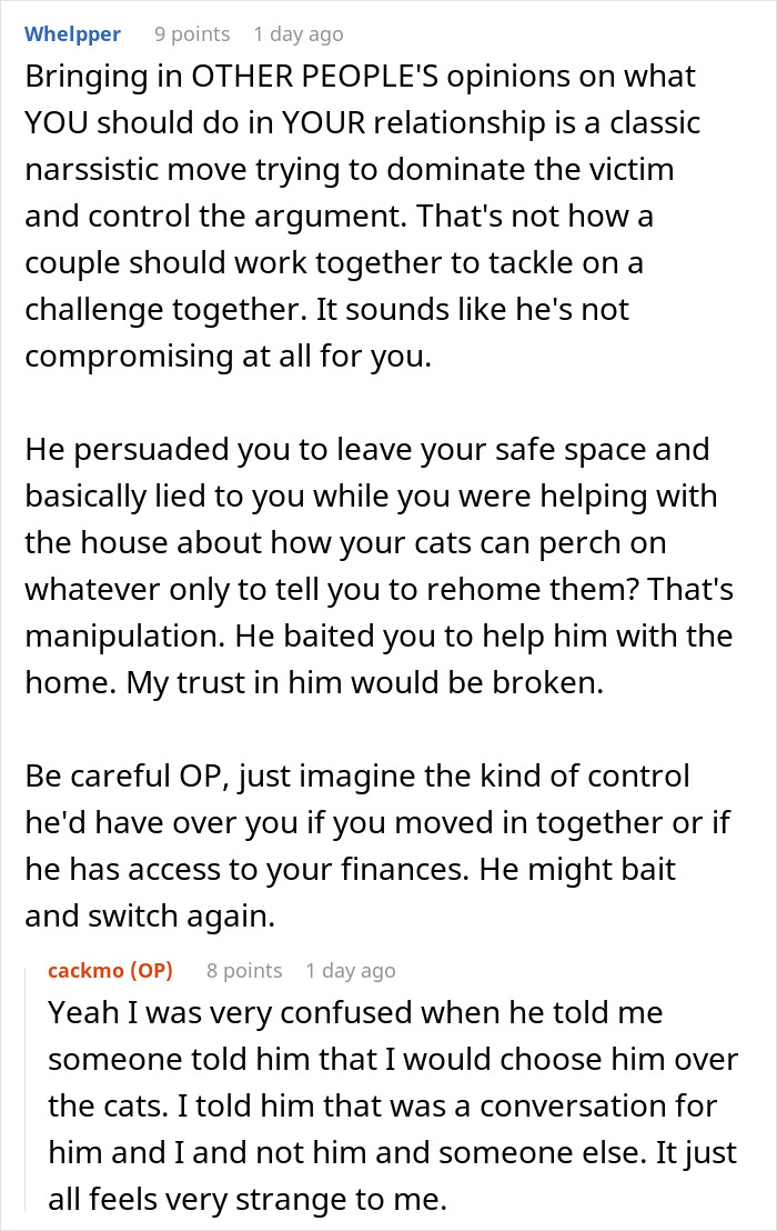 Fiancée Left Shocked After Guy Demands Her 4 Senior Cats Be Rehomed Before Wedding Fiancée Left Shocked After Guy Demands Her 4 Senior Cats Be Rehomed Before Wedding