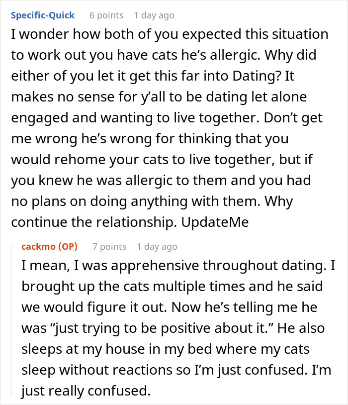 Fiancée Left Shocked After Guy Demands Her 4 Senior Cats Be Rehomed Before Wedding Fiancée Left Shocked After Guy Demands Her 4 Senior Cats Be Rehomed Before Wedding